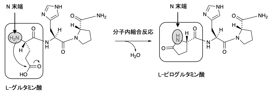 解説画像